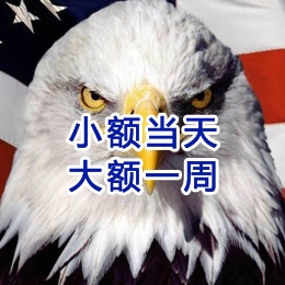 扎鲁特要账公司